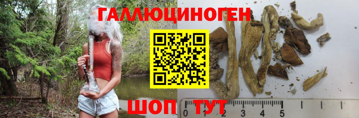 Ревда  Псилоцибиновые грибы MAGIC MUSHROOMS  Псилоцибиновые грибы ЛСД  Вход с VPN 